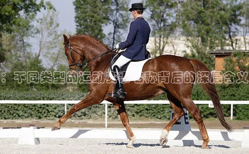 杏耀注册登录官网