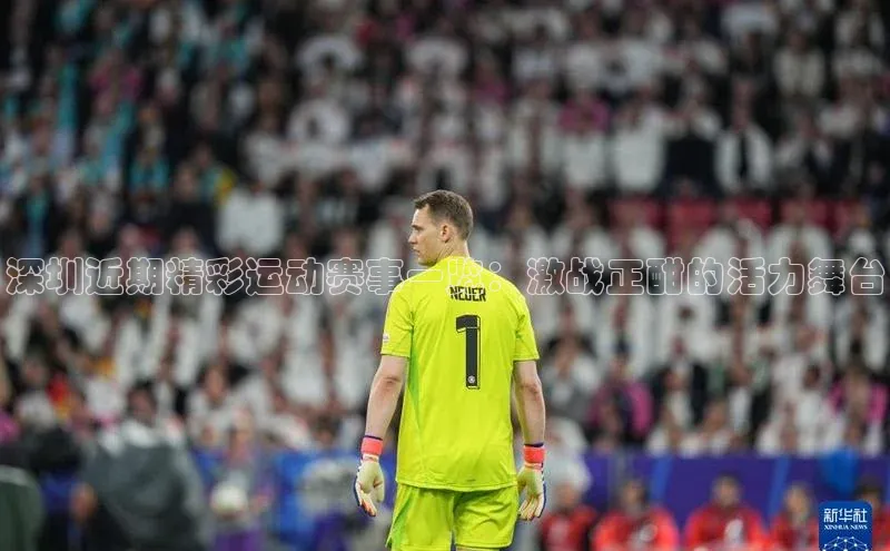 杏耀手机网页登录入口v2